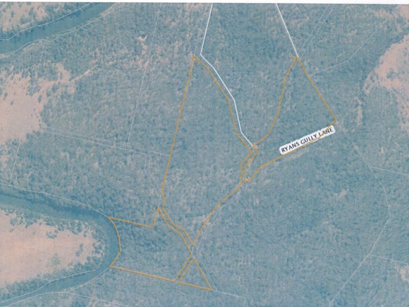 Ryans Gully Road, Grafton NSW 2460