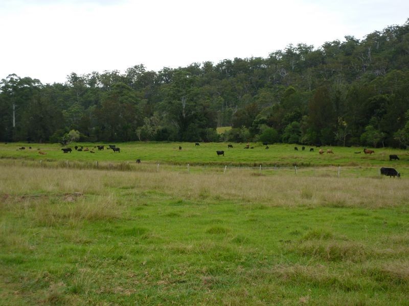 554 Middle Creek Road, Grafton NSW 2460