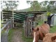 554 Middle Creek Road, Grafton NSW 2460