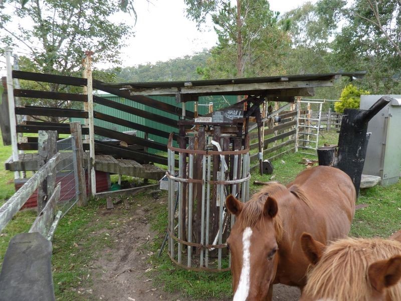 554 Middle Creek Road, Grafton NSW 2460