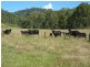 528 Middle Creek Road, Grafton NSW 2460