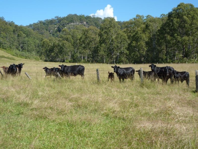 528 Middle Creek Road, Grafton NSW 2460