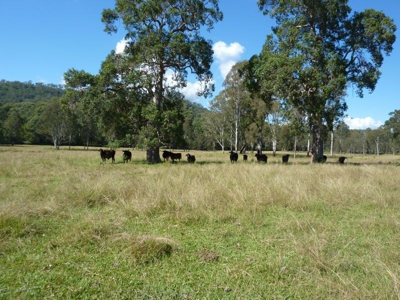 528 Middle Creek Road, Grafton NSW 2460