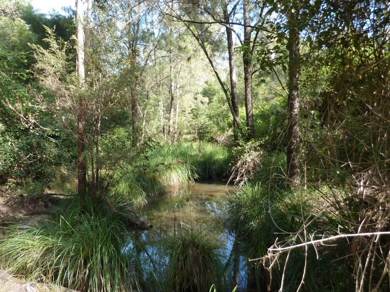 Lot 137 Middle Creek Road, Grafton NSW 2460