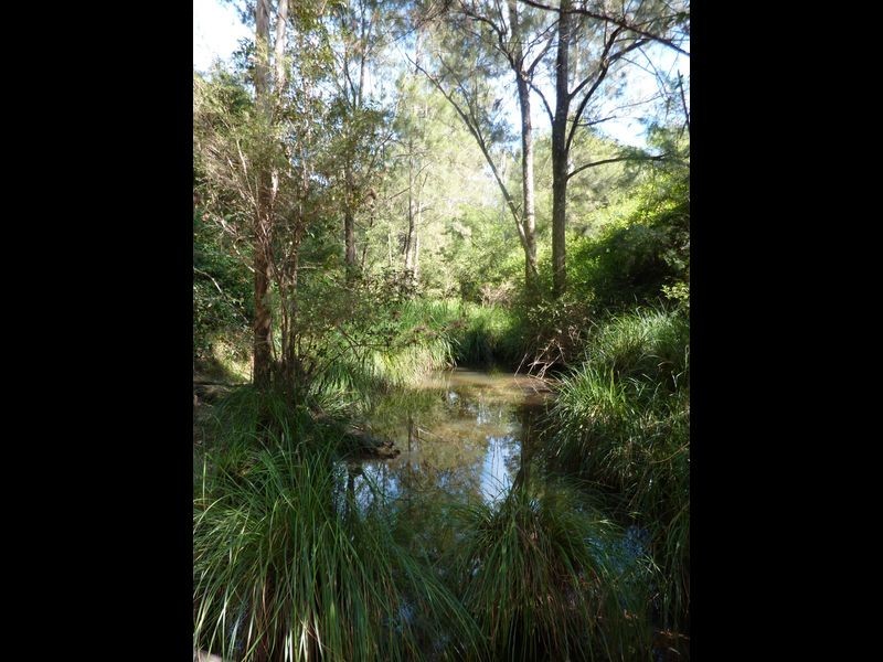 Lot 137 Middle Creek Road, Grafton NSW 2460