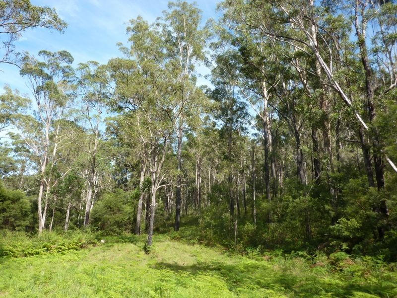 Lot 137 Middle Creek Road, Grafton NSW 2460