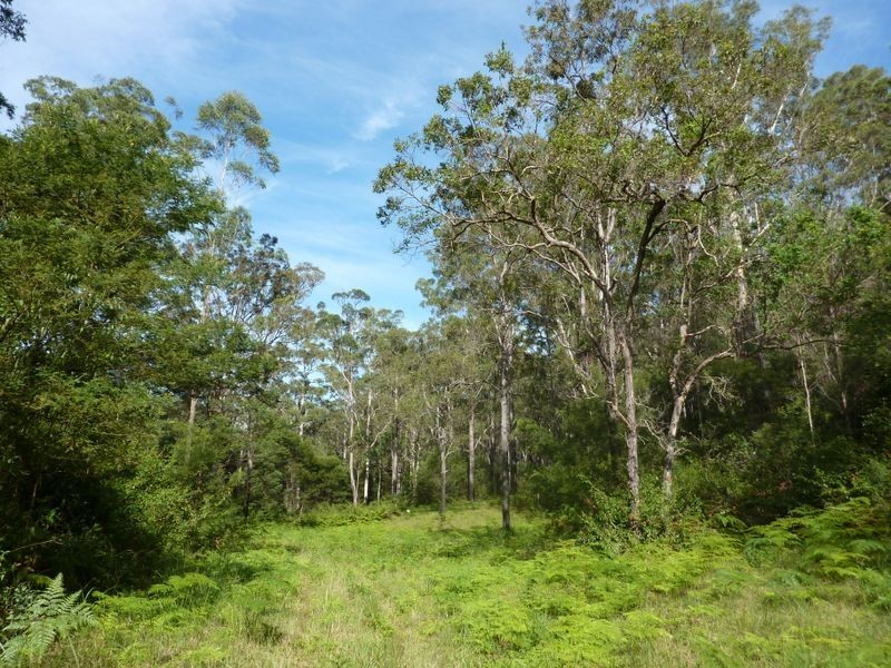 Lot 137 Middle Creek Road, Grafton NSW 2460