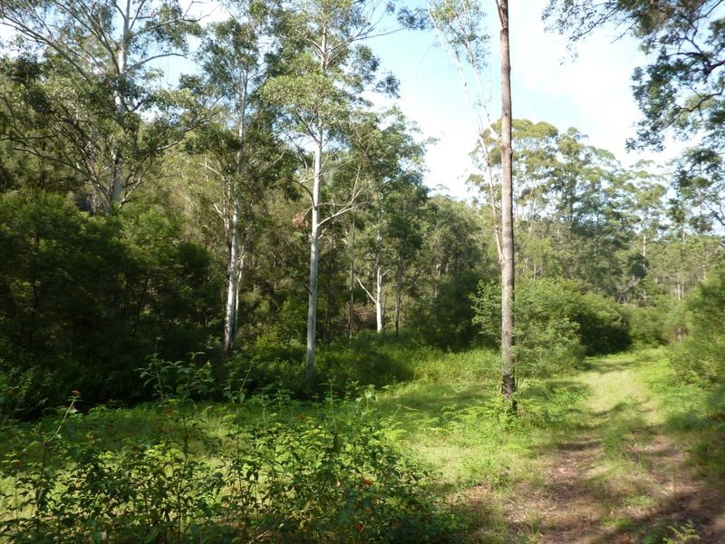 Lot 137 Middle Creek Road, Grafton NSW 2460