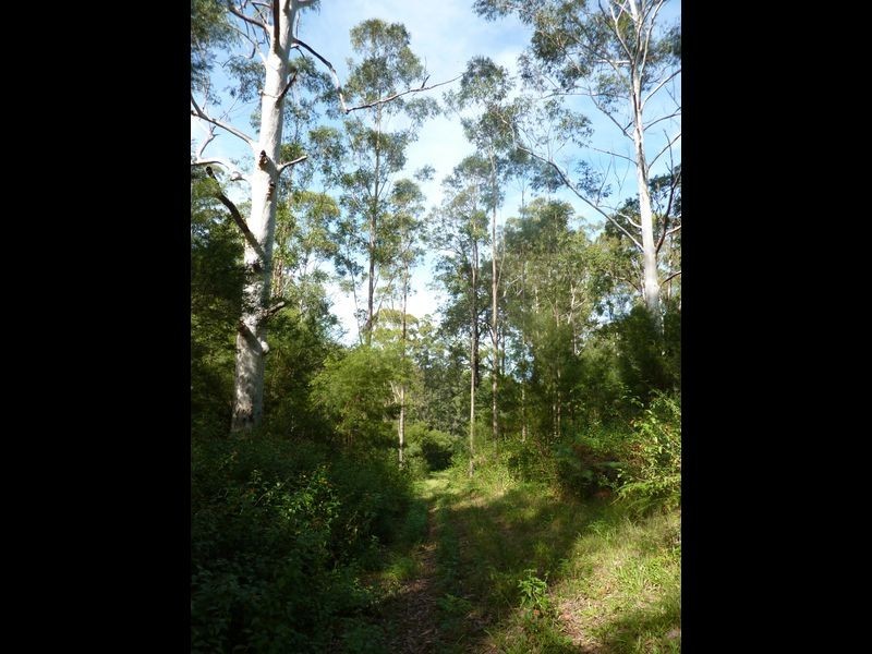 Lot 137 Middle Creek Road, Grafton NSW 2460