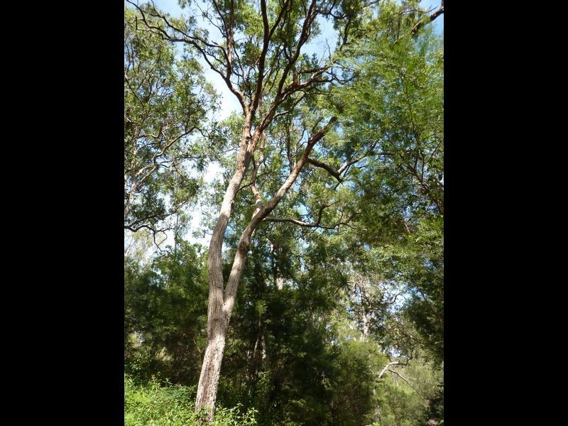 Lot 137 Middle Creek Road, Grafton NSW 2460