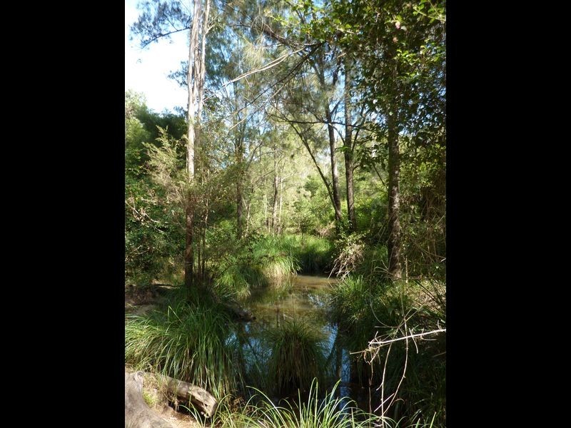 Lot 137 Middle Creek Road, Grafton NSW 2460