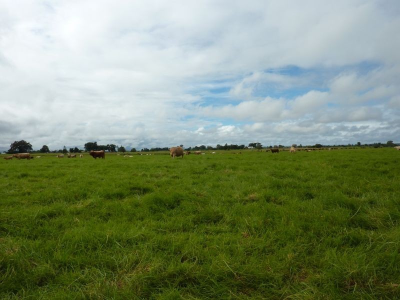 456 Carrs Peninsula Road, Grafton NSW 2460