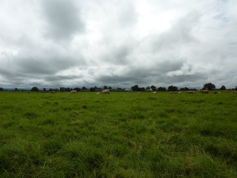 456 Carrs Peninsula Road, Grafton NSW 2460