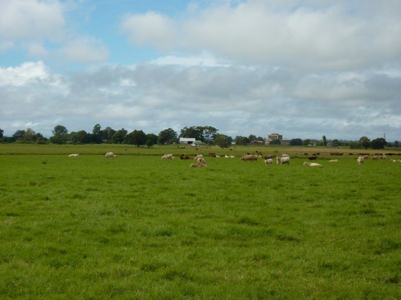 456 Carrs Peninsula Road, Grafton NSW 2460