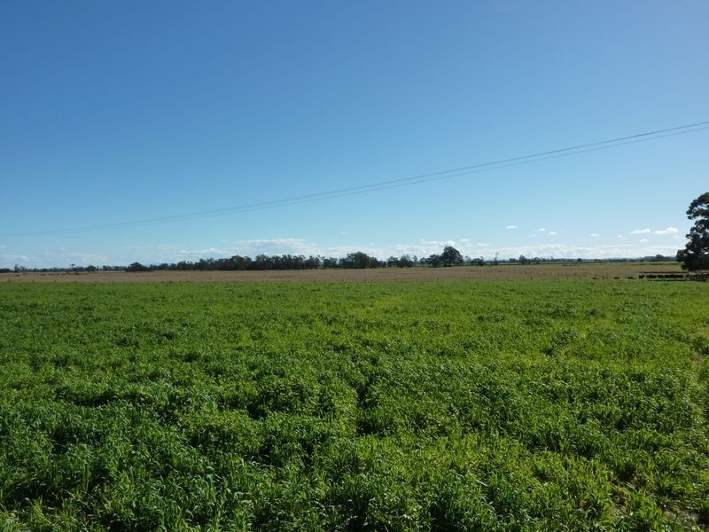 304-310 Lower Coldstream Road, Calliope NSW 2462