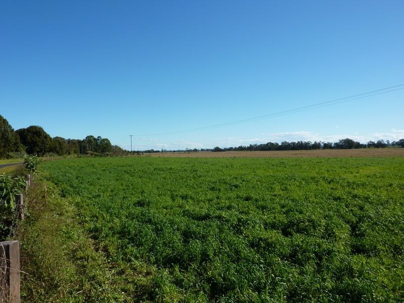 304-310 Lower Coldstream Road, Calliope NSW 2462