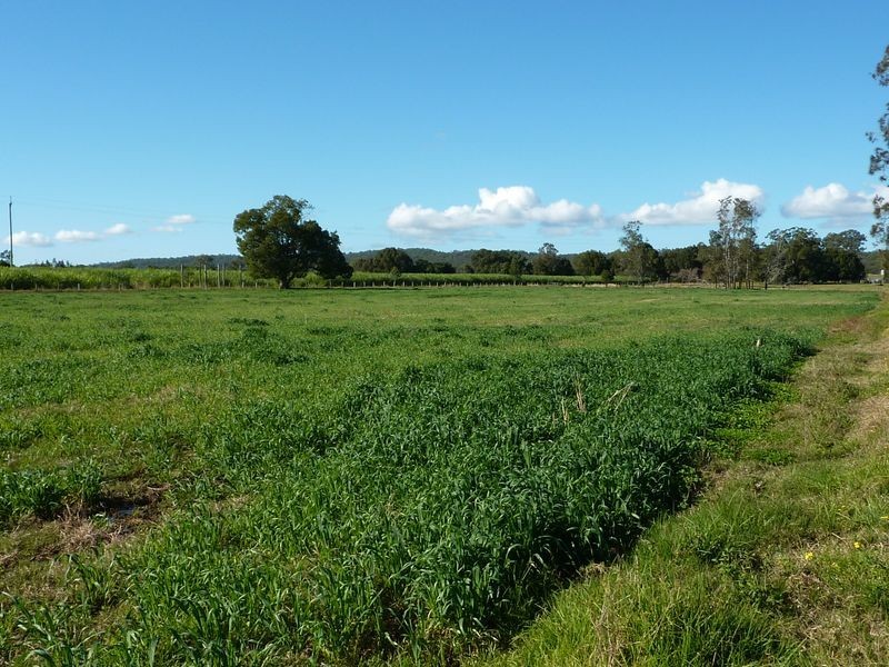 304-310 Lower Coldstream Road, Calliope NSW 2462