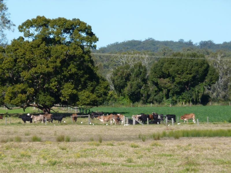 304-310 Lower Coldstream Road, Calliope NSW 2462