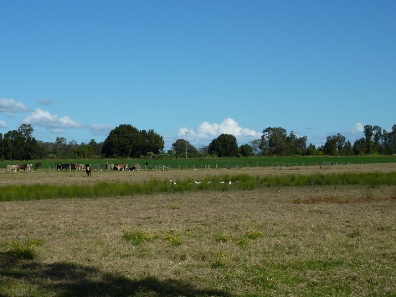 304-310 Lower Coldstream Road, Calliope NSW 2462