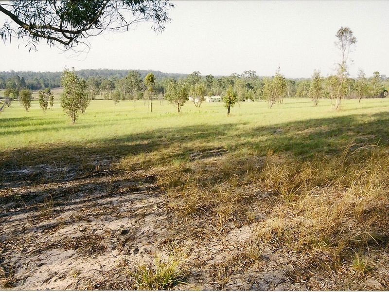 1016 Clarence Way, Grafton NSW 2460