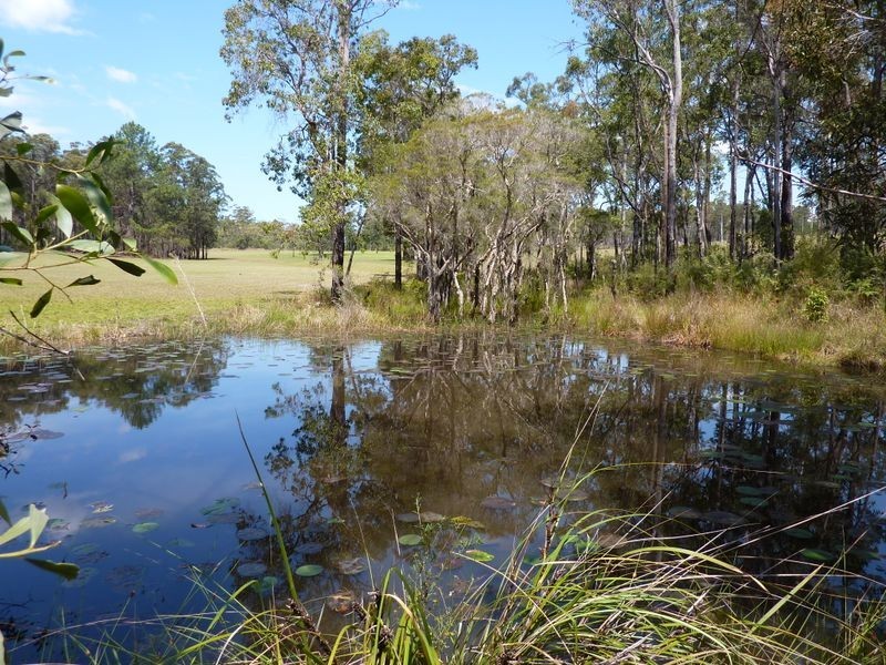 Lot 101 Pinnacles Road, Grafton NSW 2460