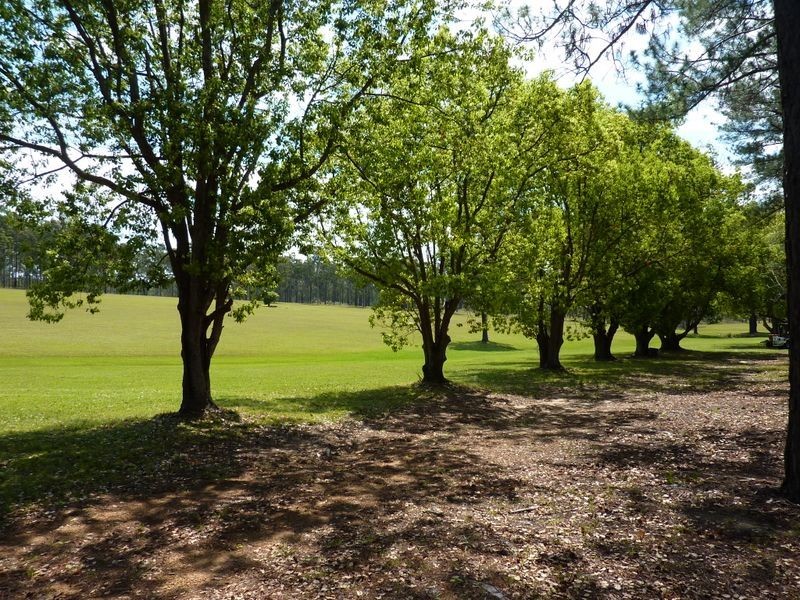 Lot 101 Pinnacles Road, Grafton NSW 2460