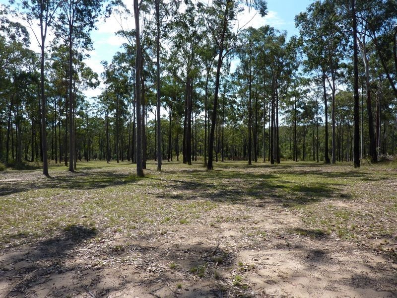 Lot 101 Pinnacles Road, Grafton NSW 2460