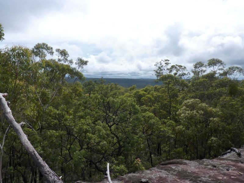 1491 Stockyard Creek Road, Stockyard Creek NSW 2460