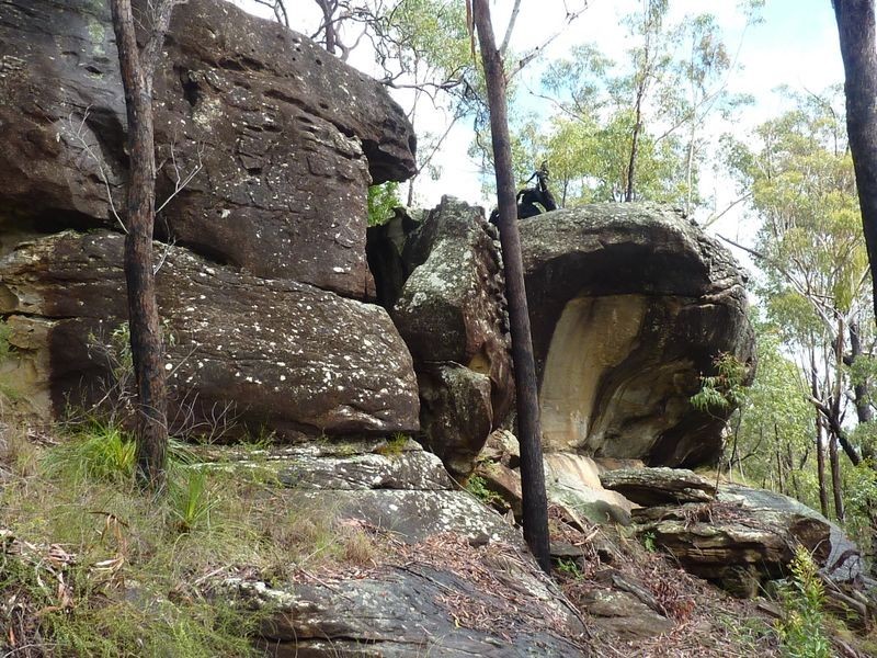 1491 Stockyard Creek Road, Stockyard Creek NSW 2460