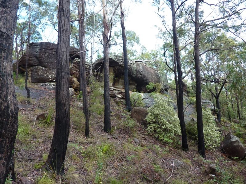 1491 Stockyard Creek Road, Stockyard Creek NSW 2460