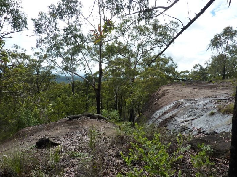 1491 Stockyard Creek Road, Stockyard Creek NSW 2460