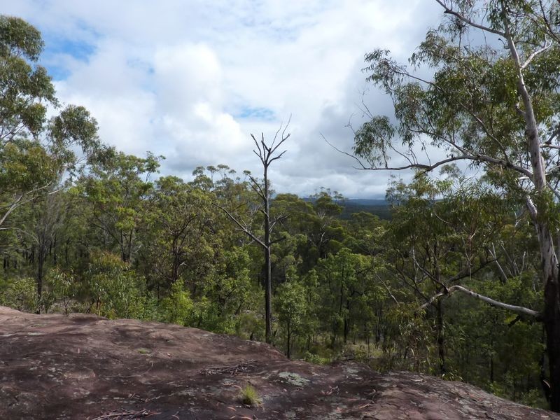 1491 Stockyard Creek Road, Stockyard Creek NSW 2460