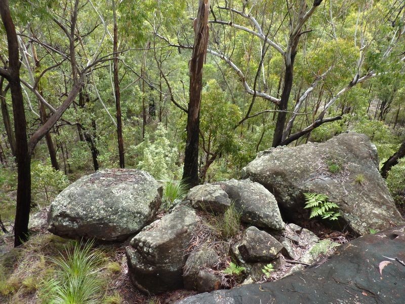 1491 Stockyard Creek Road, Stockyard Creek NSW 2460