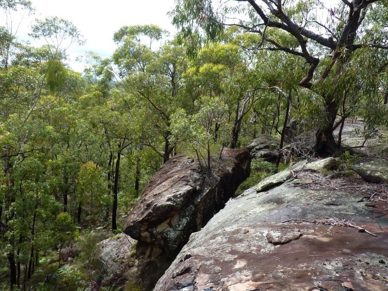 1491 Stockyard Creek Road, Stockyard Creek NSW 2460