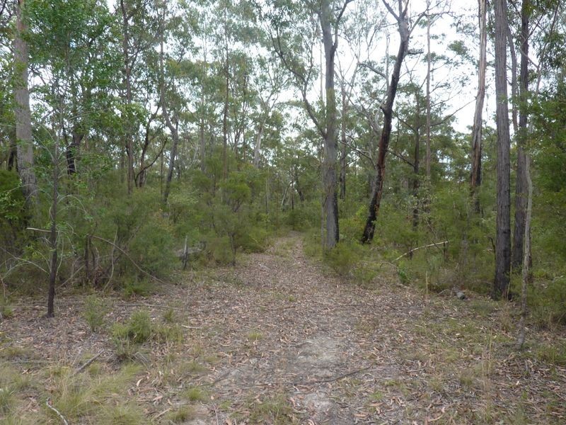 1491 Stockyard Creek Road, Stockyard Creek NSW 2460