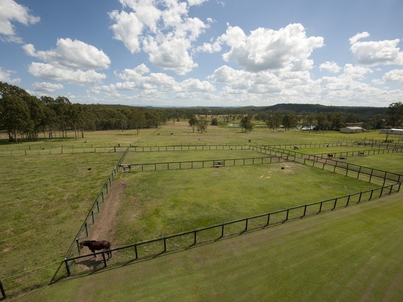 109 Ellem Lane, The Whiteman NSW 2460