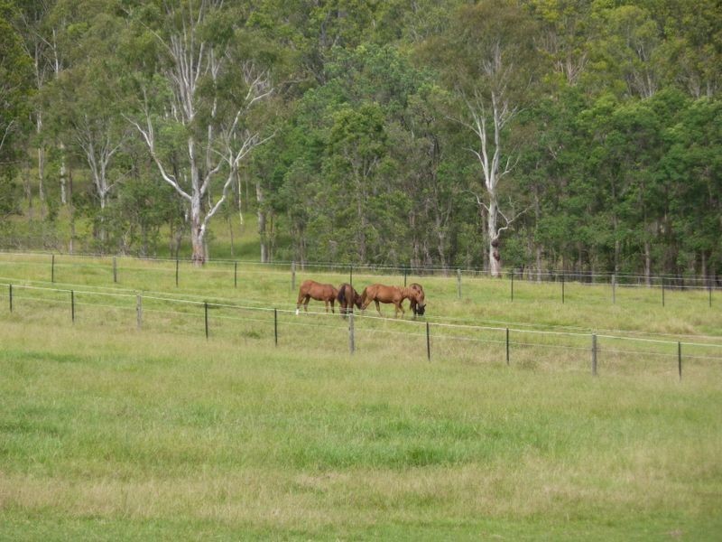 109 Ellem Lane, The Whiteman NSW 2460