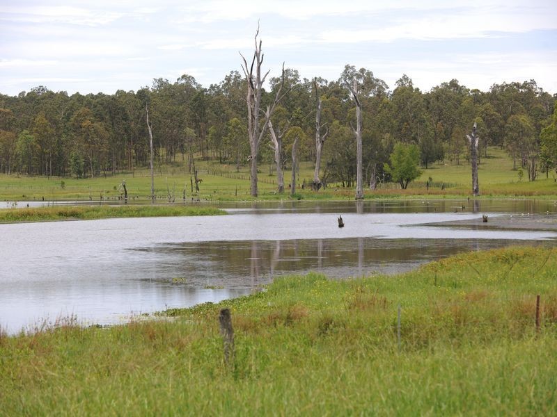 109 Ellem Lane, The Whiteman NSW 2460