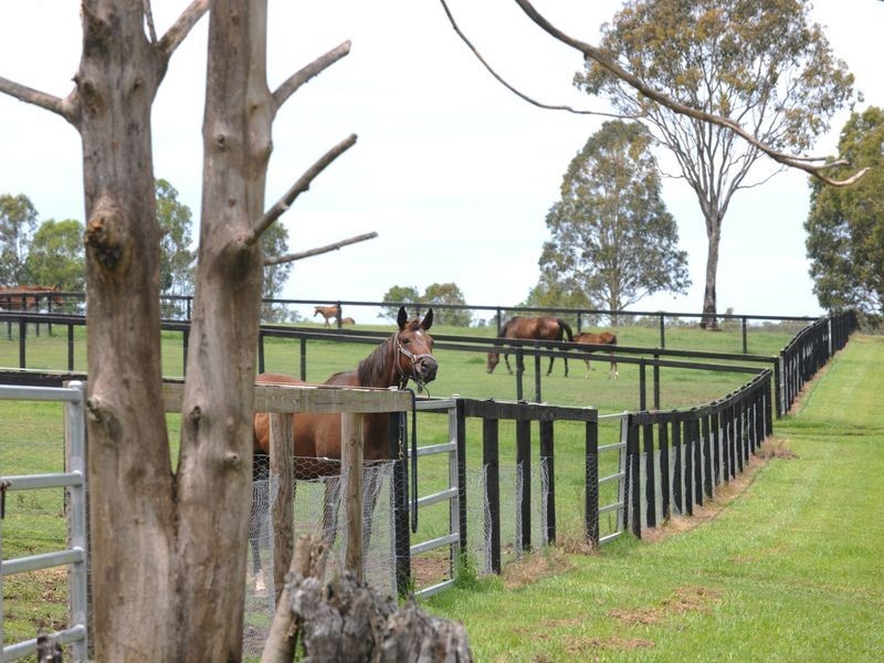 109 Ellem Lane, The Whiteman NSW 2460