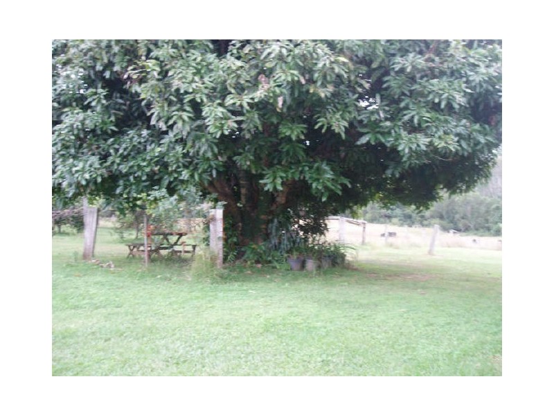 Blaxlands Creek NSW 2460
