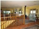 2324B Armidale Road, Blaxlands Creek NSW 2460