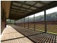 2324B Armidale Road, Blaxlands Creek NSW 2460