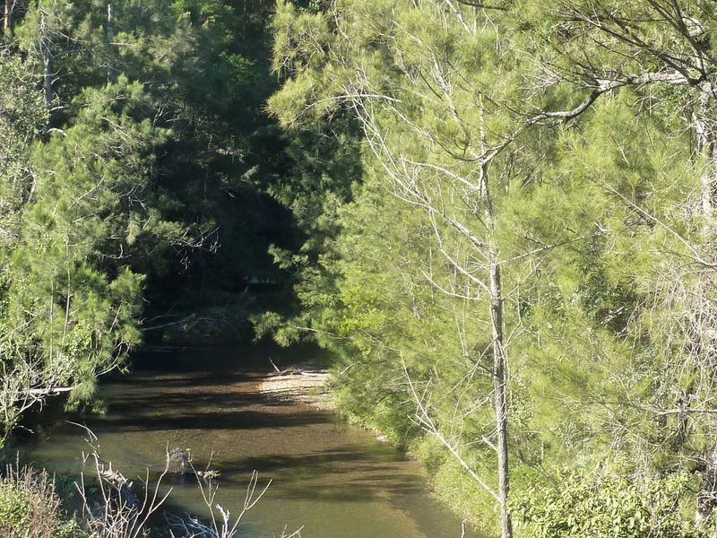 2324B Armidale Road, Blaxlands Creek NSW 2460