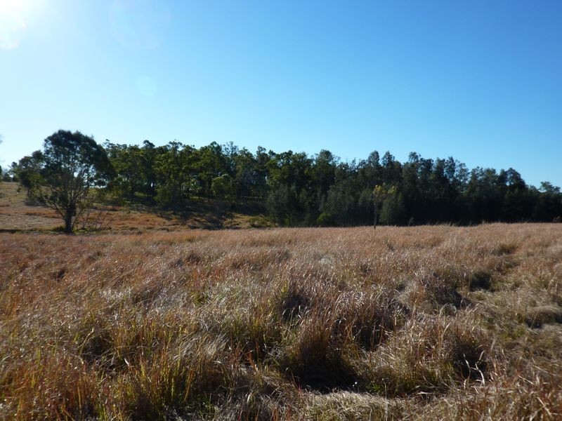 1/109 Ellem Lane, The Whiteman NSW 2460