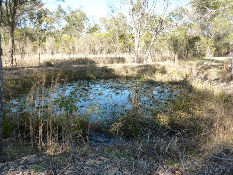 2671 Summerland Way, Dilkoon NSW 2460