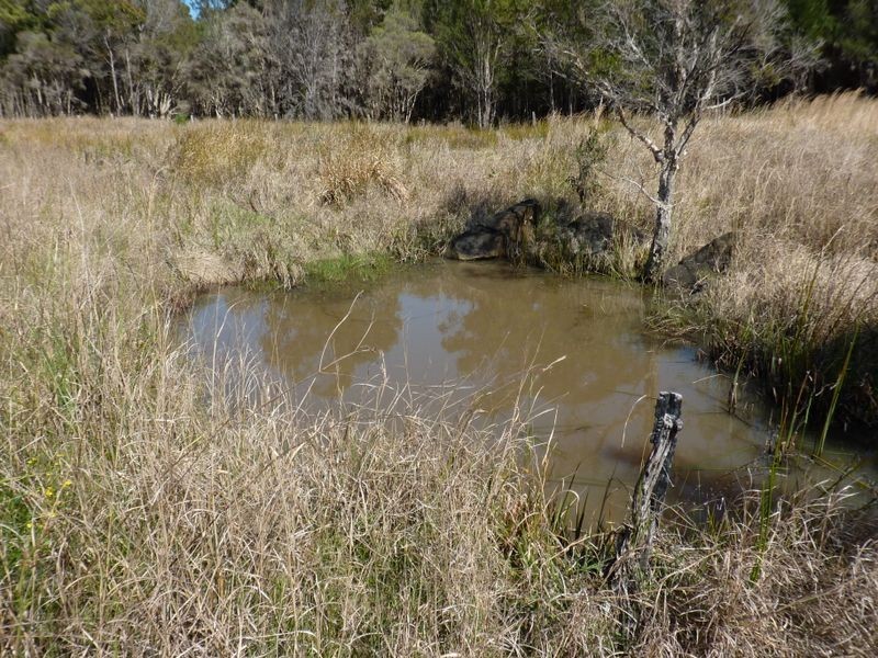 2671 Summerland Way, Dilkoon NSW 2460