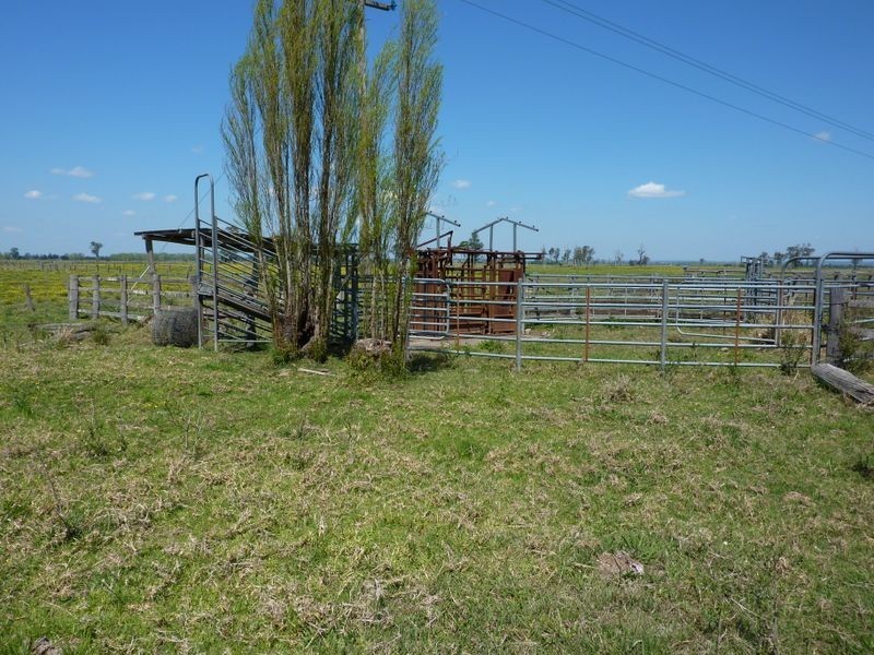 771 Lawrence Road, Southgate NSW 2460