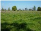 771 Lawrence Road, Southgate NSW 2460