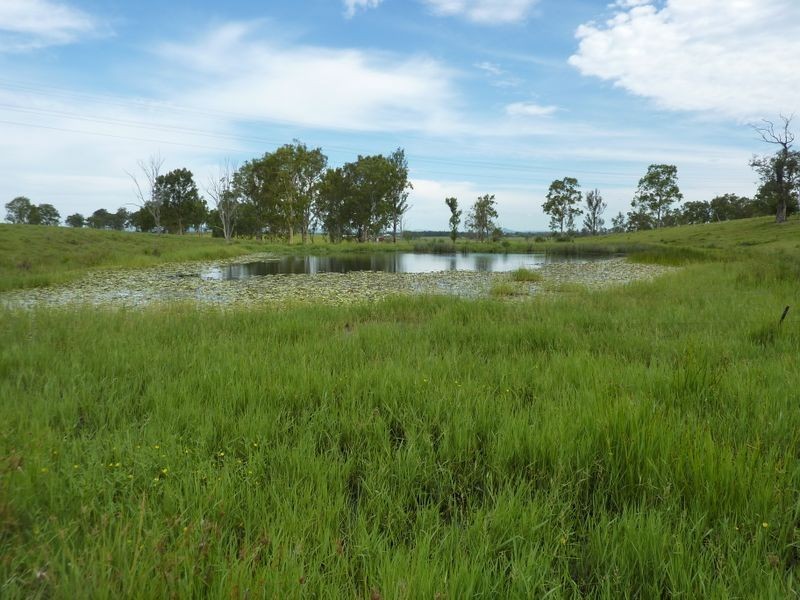 Boormans Lane, Southgate NSW 2460