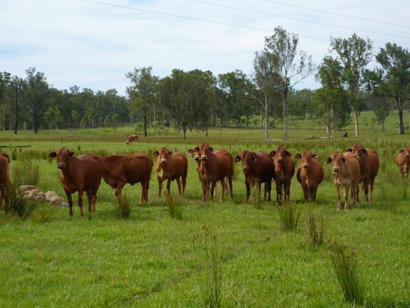 Boormans Lane, Southgate NSW 2460